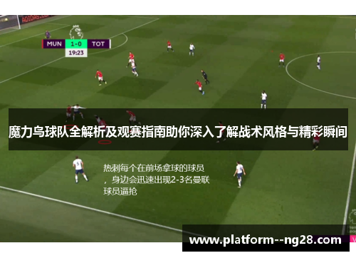 魔力鸟球队全解析及观赛指南助你深入了解战术风格与精彩瞬间