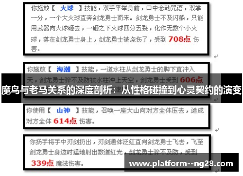 魔鸟与老马关系的深度剖析：从性格碰撞到心灵契约的演变